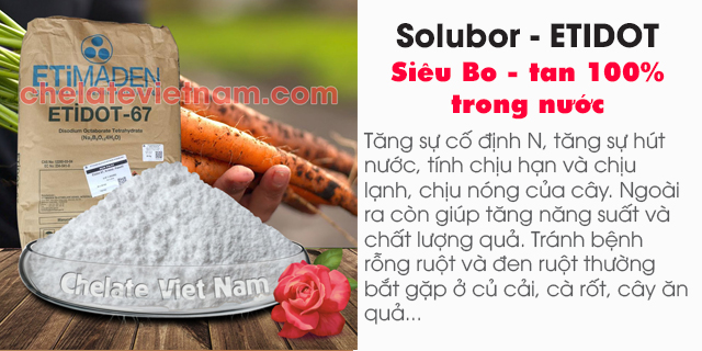 Solubor - ETIDOT (Siêu Bo) tan trong nước